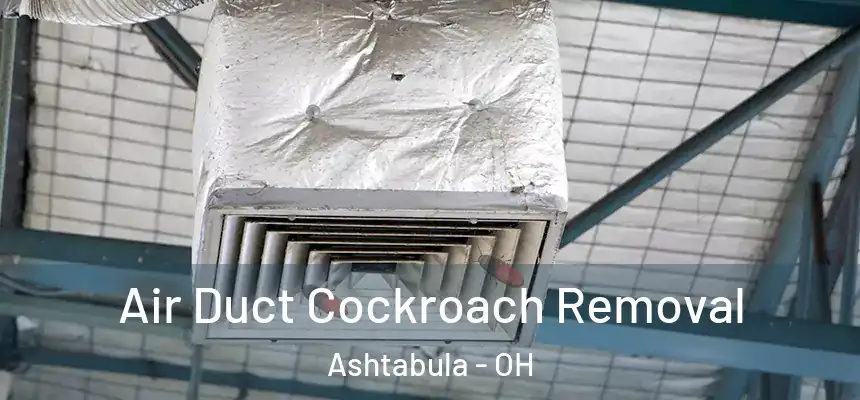 Air Duct Cockroach Removal Ashtabula - OH