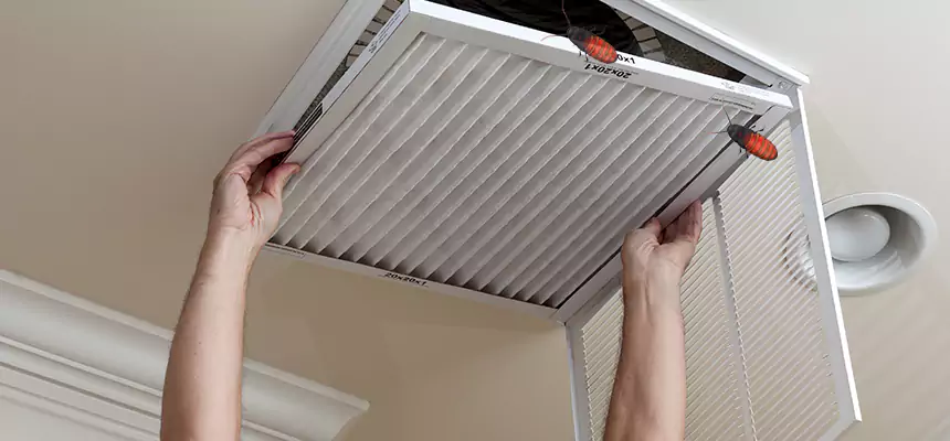 Preventive Cockroach-Proofing for Ducts in Ashtabula