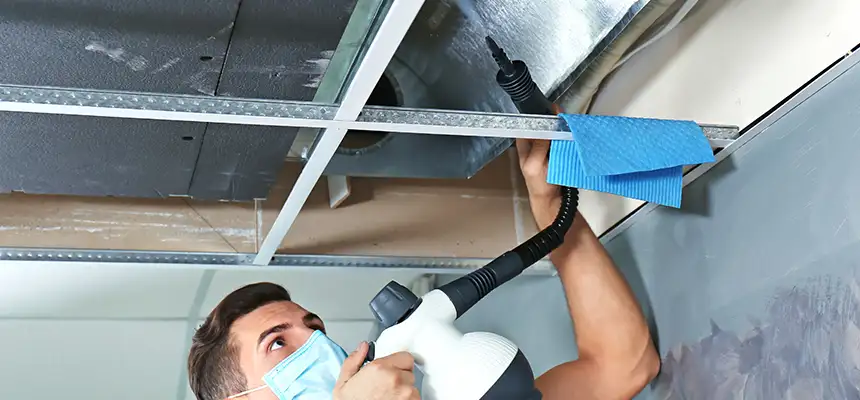 Our Air Duct Rodent Removal Services in Ashtabula, OH