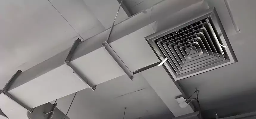 Restorative Allergy Relief Vent Cleaning – Coil, Blower & Housing Detail in Ashtabula