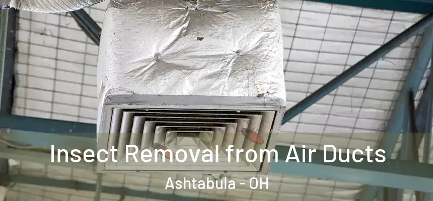  Insect Removal from Air Ducts Ashtabula - OH