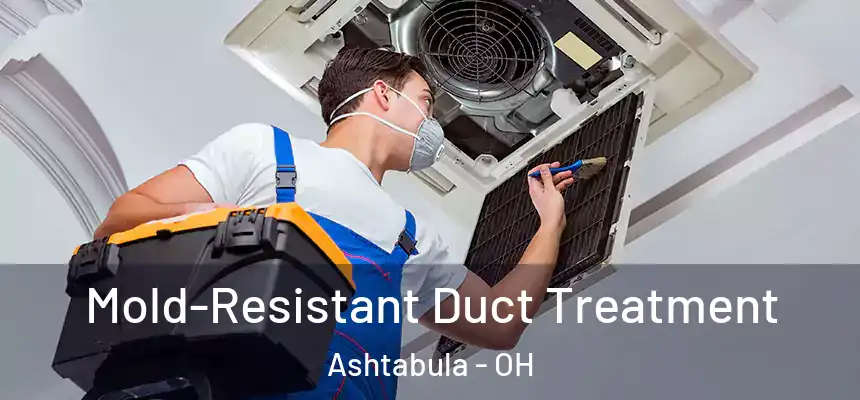  Mold-Resistant Duct Treatment Ashtabula - OH