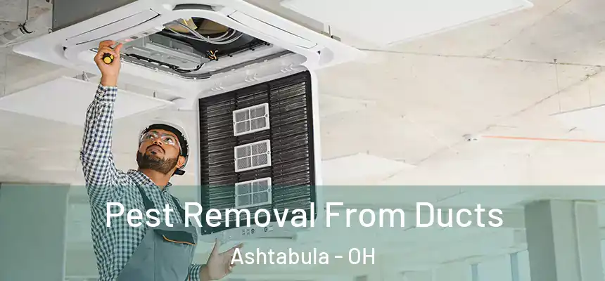 Pest Removal From Ducts Ashtabula - OH