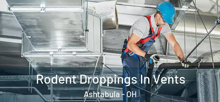  Rodent Droppings In Vents Ashtabula - OH