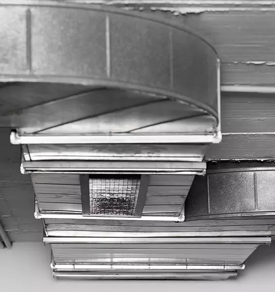 Professional Air Duct Pet Hair Removal in Ashtabula, OH