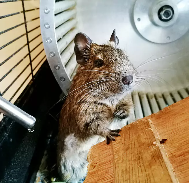 Why Homeowners & Businesses Trust Us Ashtabula, OH?